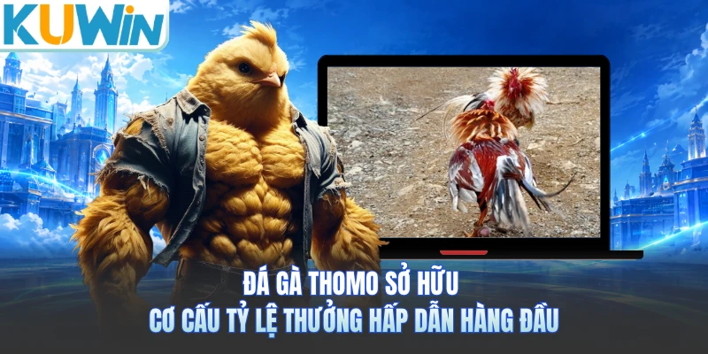Đá gà Thomo sở hữu cơ cấu tỷ lệ thưởng hấp dẫn hàng đầu