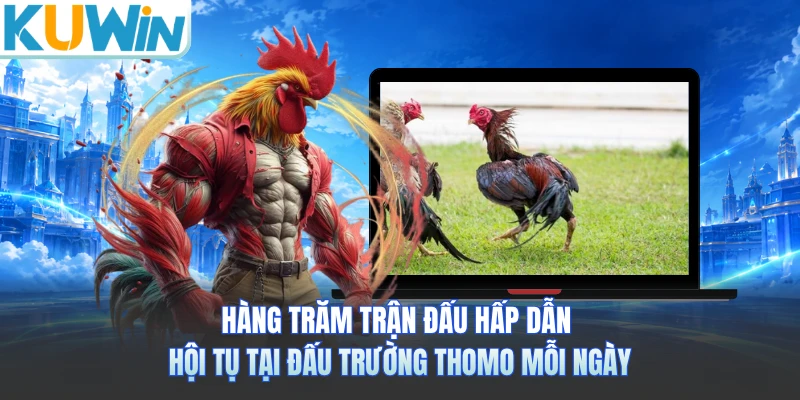 Hàng trăm trận đấu hấp dẫn hội tụ tại đấu trường Thomo mỗi ngày